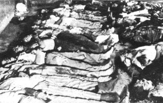 Victimae saevitiae Nazistarum